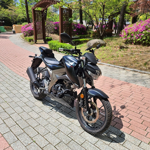 스즈키 gsx s125 메뉴얼 오토바이크 싸게판매합니다!