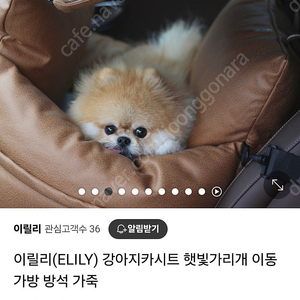 이릴리 강아지 카시트 가죽카시트 이동범퍼