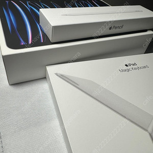 아이패드프로 11인치(M2) 256G WIFI + 애플펜슬, 매직키보드 판매
