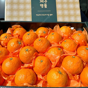 제주직송 카라향&천혜향 일반 및 선물용 포장상품 있습니다 , 만다린, 오렌지, 레드자몽도 같이보구가세요 가정의달 선물하시기도 좋습니다.