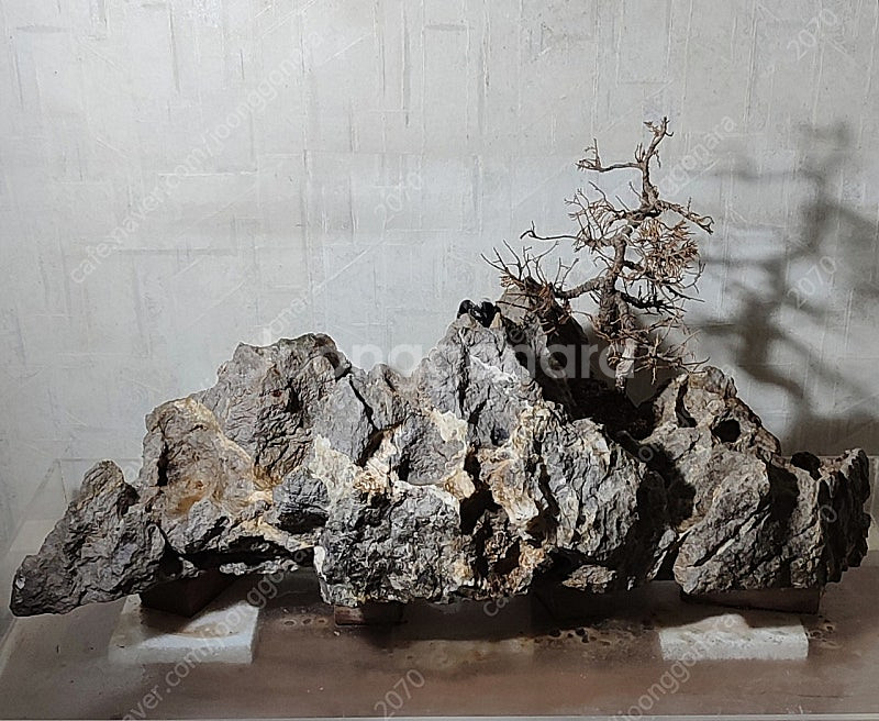 실내 야외 조경석돌(부산)--1
