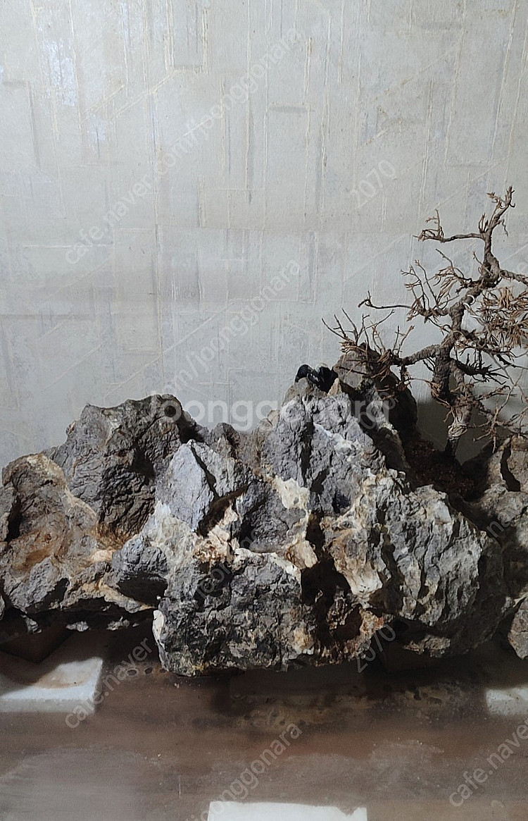 실내 야외 조경석돌(부산)--4