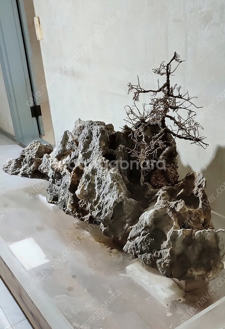 실내 야외 조경석돌(부산)--8