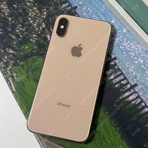 [급처] 아이폰XS 256GB 골드 판매