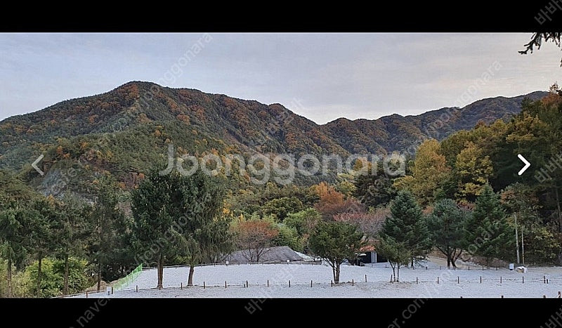함양 라온캠핑장--0