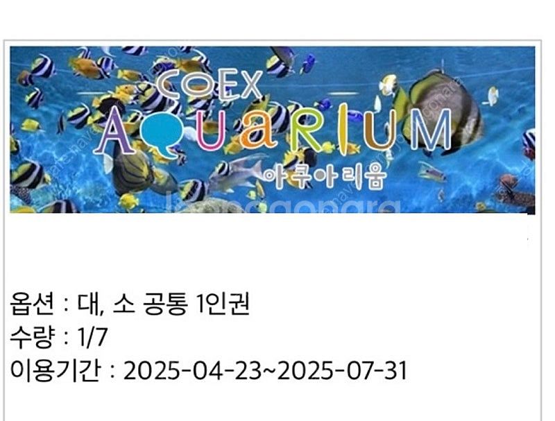삼성역 코엑스 아쿠아리움 대/소인 공통 모바일 입장권--0