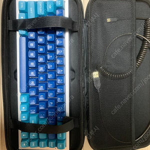 NK65 노벨키 Novelkeys INVYR Holy Panda 키보드 팝니다