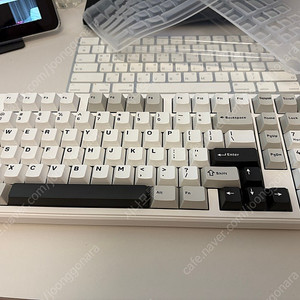 AULA F99 PRO 경해축 화이트