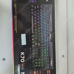 커세어 기계식 키보드 CORSAIR K70 RGB MK.2 팝니다