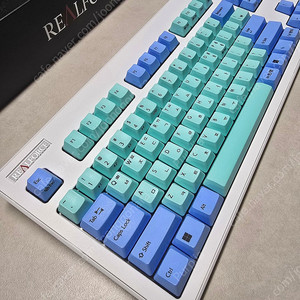 리얼포스 REALFORCE R3 민트 블루 45g키압 풀배열 키보드 팝니다