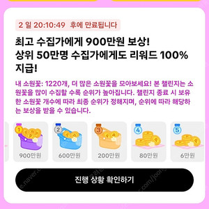 소원꽃삽니다!!!!