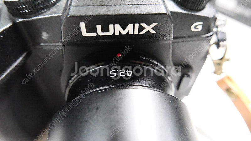 파나소닉 루믹스 DMC-G85(일본 내수 DMC-G8)--7