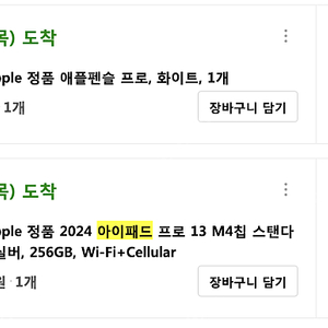 아이패드 프로 13 M4 256GB[셀룰러, 실버, 스탠다드 글래스] + 정품 폴리오케이스 + 애플펜슬 프로 + 니케 마그네틱 충전 거치대