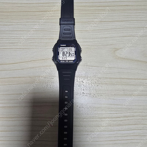 카시오W800h 판매합니다