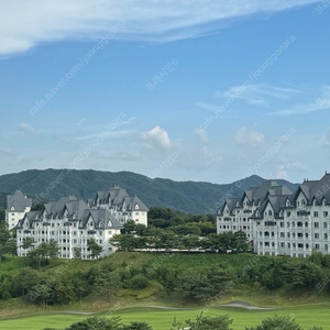 비발디파크 내일 마지막 한객실!!