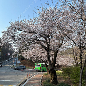 서울대공원 캠핑장 양도받아요 (5/5)