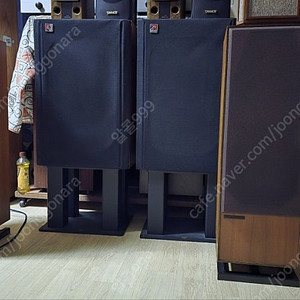 모던쇼트 MS 500 골드 스피커(영국)