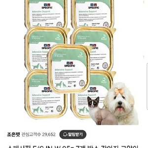 스페시픽 회복캔 8개 (강아지.고양이 겸용) 미개봉
