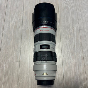 캐논 정품 70-200 구아빠백통 , 24-70 구계륵 , 시그마 30.4 삼식이 , 17-70 OS , 탐론 90마 VC , 28-300 , 삼양 35.4 캐논용렌즈 판매합니다.
