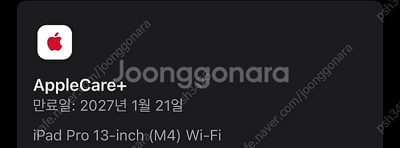 아이패드 프로 13인치--1