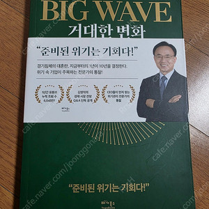Big wave 거대한 변화 책 판매합니다