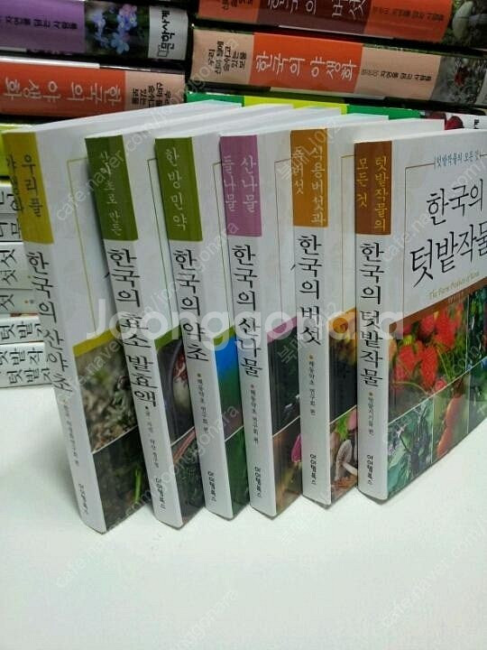 버섯.산나물.약초.산야초.등 권당3000원씩 등산야외 ...--0