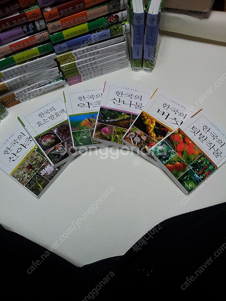 버섯.산나물.약초.산야초.등 권당3000원씩 등산야외 ...--1