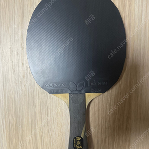 왕추친 탁구라켓, 세계1위 왕추친선수