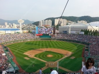 5월5일 롯데 vs SSG 1루 2연석 양도--0