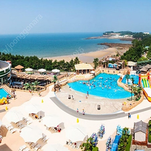 (오늘숙박) 무창포 비체팰리스 36평 / 변산 소노벨 스위트