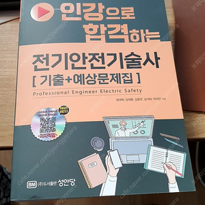 인강으로 합격하는 전기안전기술사 기출+예상문제집