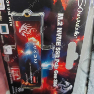 SomnAmbulist SSD M2 NVME 128GB 팝니다. 택포가