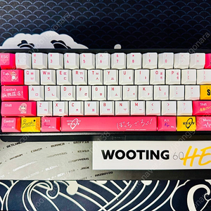 우팅60HE+