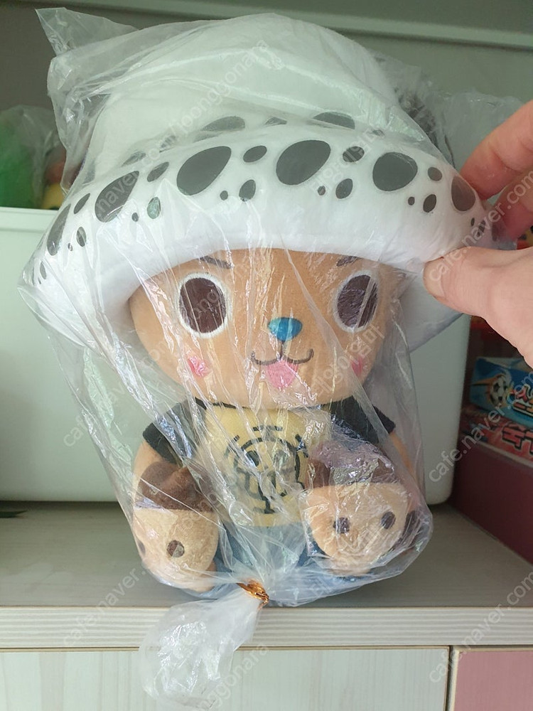 브롤스타즈 레온.스파이크.쵸파 이미지