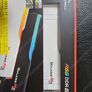 지스킬 RIPJAWS M5 RGB DDR5 64GB 화이트 패키지 미개봉