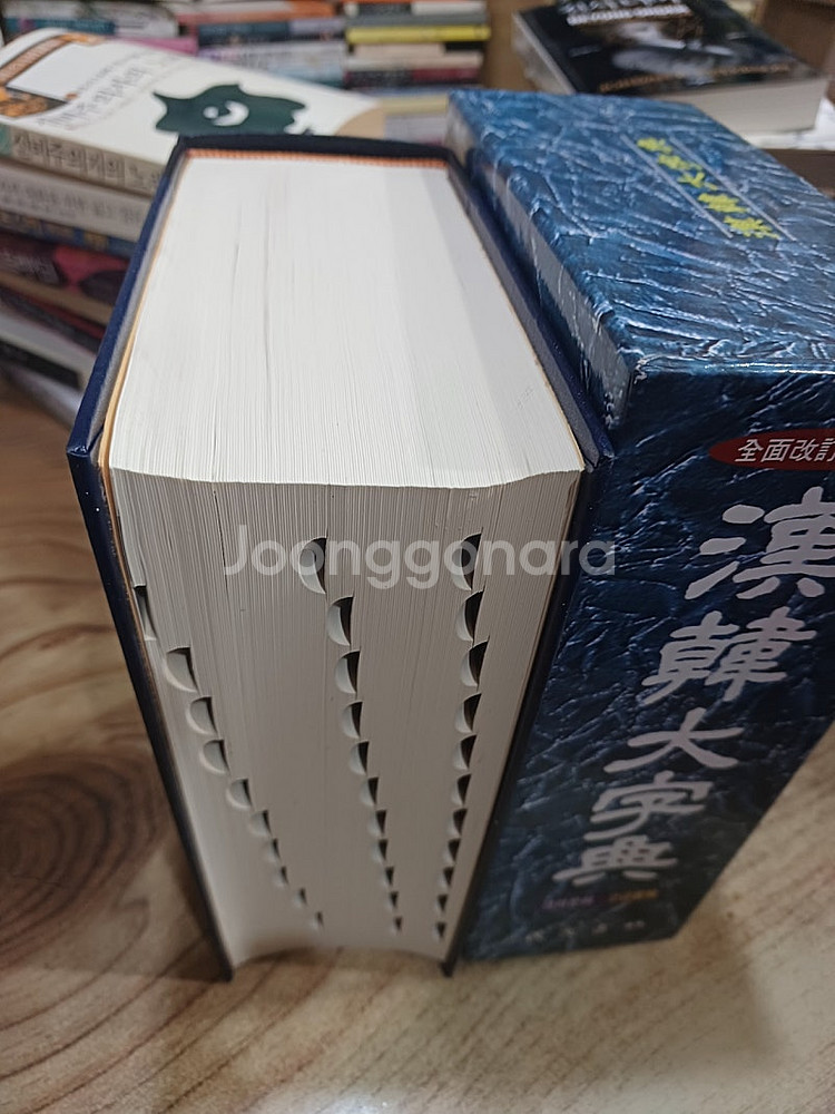한 한 대자전 (민중서림 ) 전면개정.증보판 .--2