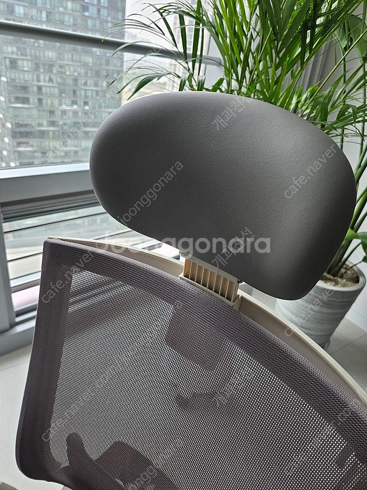 시디즈 t50 hlda 화이트쉘 사무용 의자--4