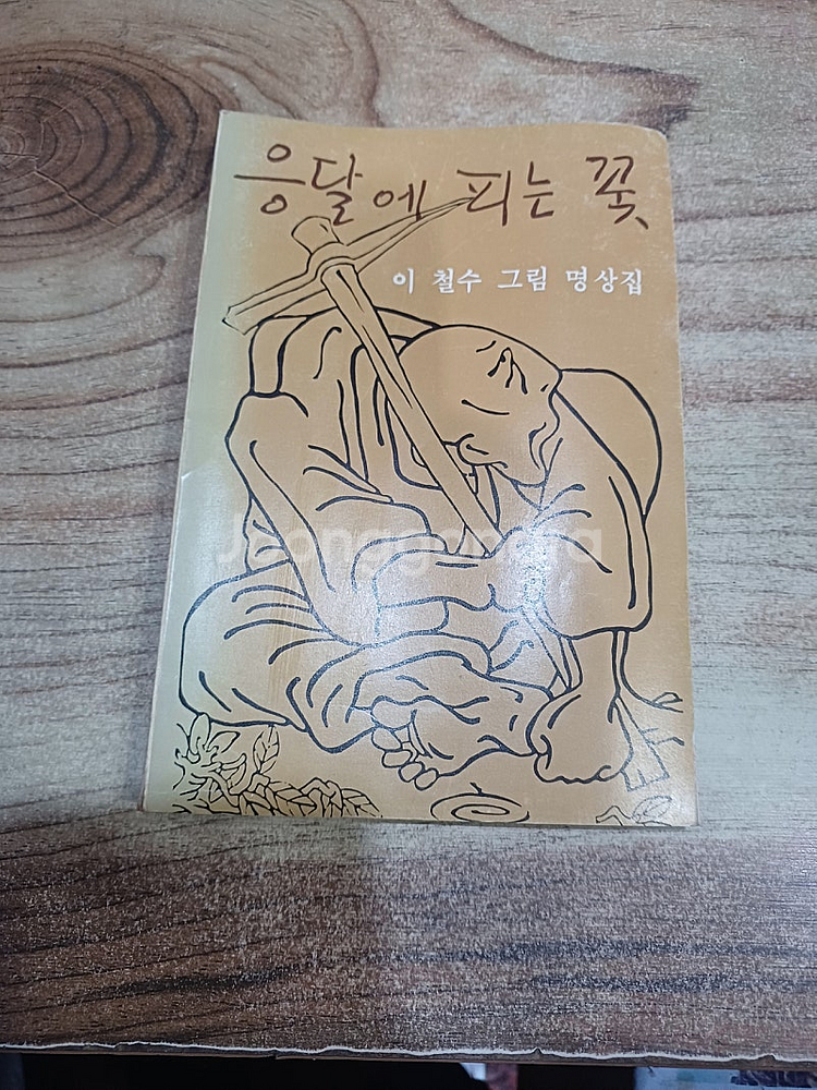 응달에 피는꽃 (이철수 그림 명상집 ) 1982년 7월.20일 .초판발행..분도출판사.--0