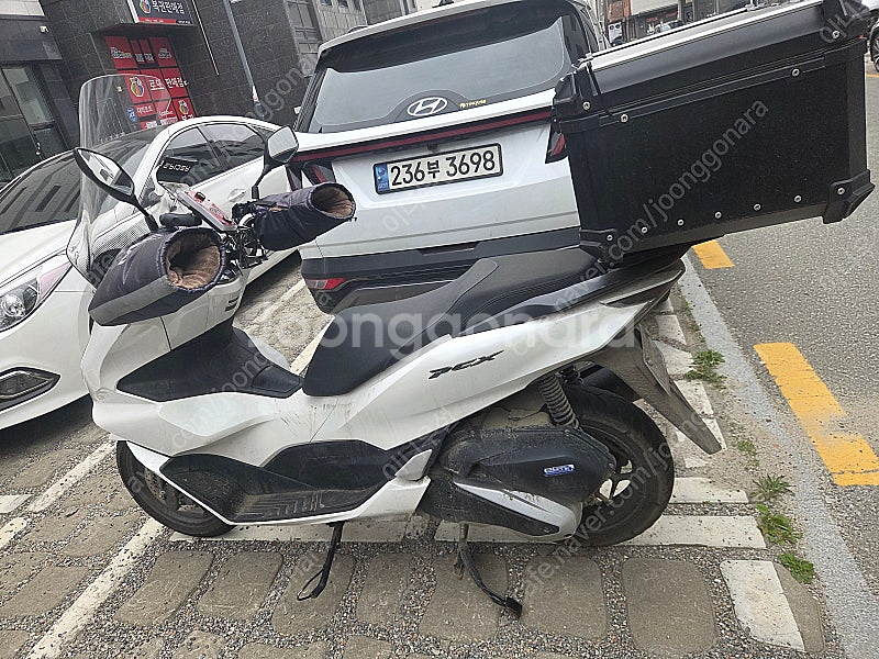 Pcx125 24년식 15000km 리스승계 합니다--1