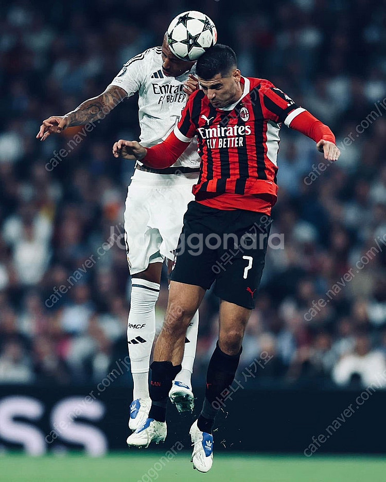 아디다스 프레데터 엘리트 베컴 에디션 270--1