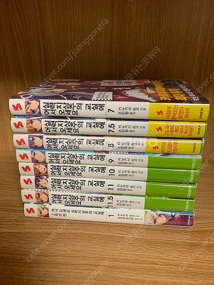 실지주 라노벨 7권~11.5권, 1권--1