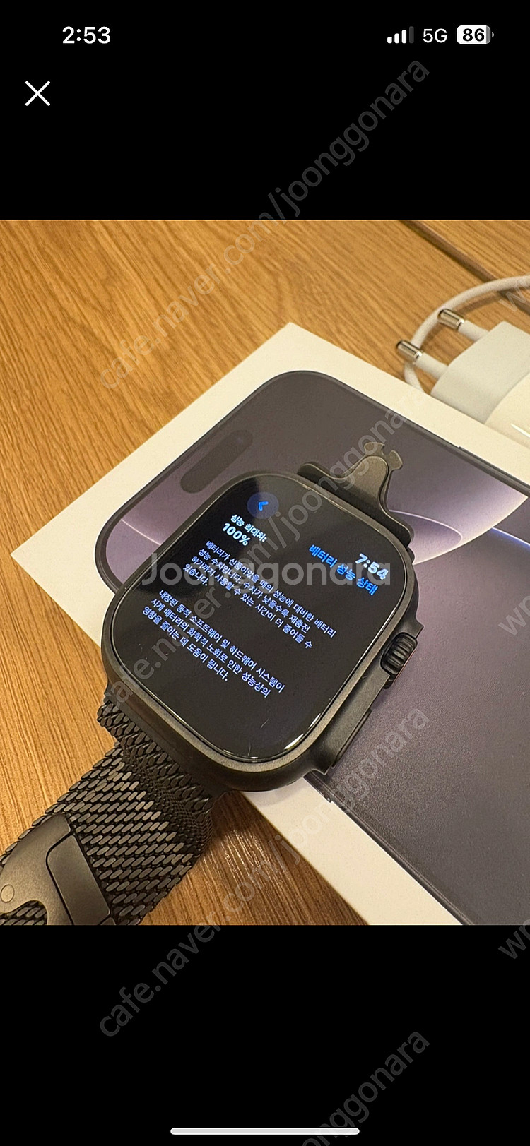 애플워치울트라2 49mm 티타늄밀레니즈루프 팜--5