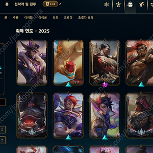 롤 올스킨 저렴하게 판매합니다!
