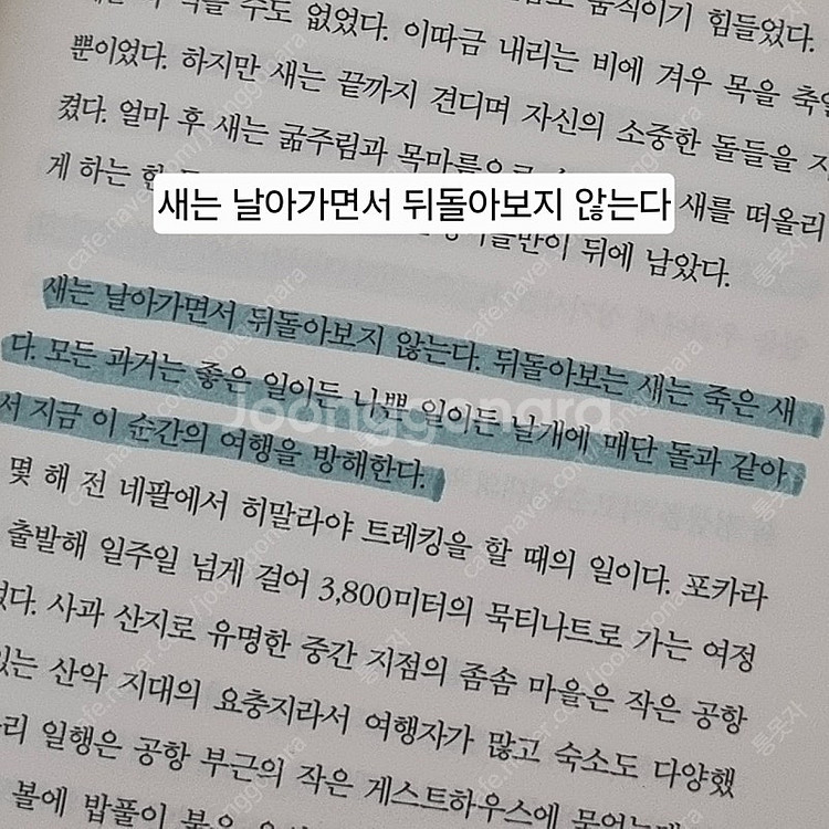 책 새는 날아가면서 뒤돌아보지 않는다, 나도 아직 나를...--1