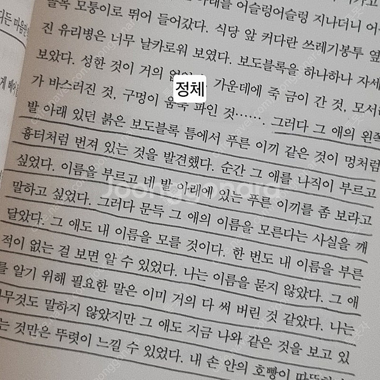책 새는 날아가면서 뒤돌아보지 않는다, 나도 아직 나를...--3
