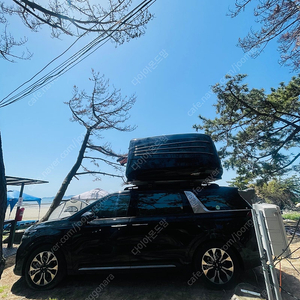 휴고 루프탑텐트 그랜드패밀리 815 더마스터