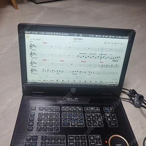 919반주기 팝니다.