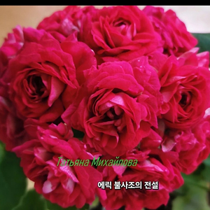 에릭 불사조의 전설.UG 실크로드 러시아제라늄 포함2종
