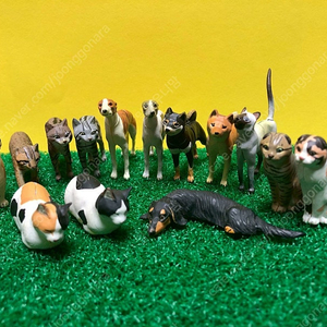 초코에그 초콜릿에그 가챠 고양이 강아지 파충류 토끼 햄스터 동물 닭 앵무새 도마뱀 거북 물고기 개구리 일본