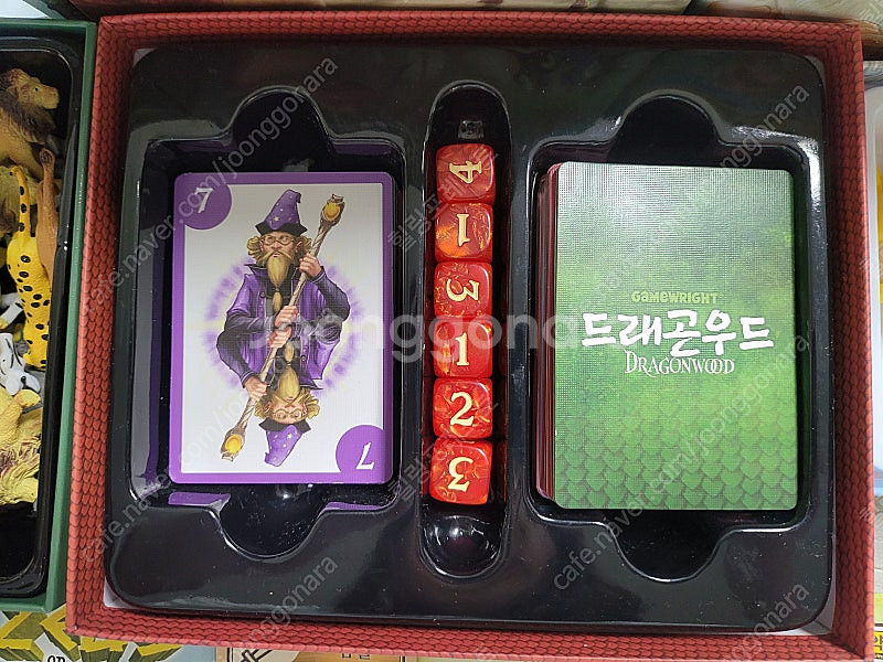 어린이날 선물)보드게임 와일드 사파리/제우스/드래곤우드...--3